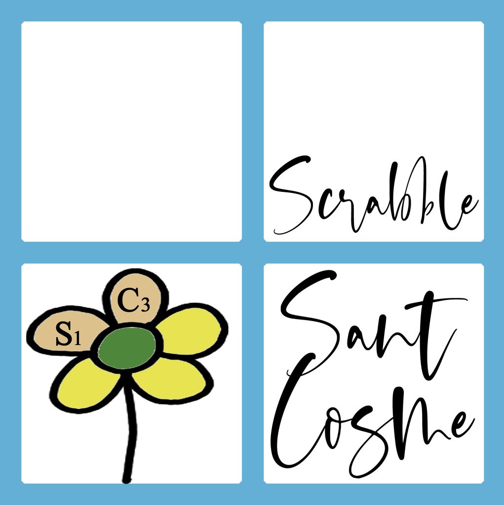 logo nou copia